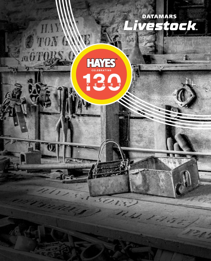 BANNER-WORKSHOP-HAYES-MOBILE