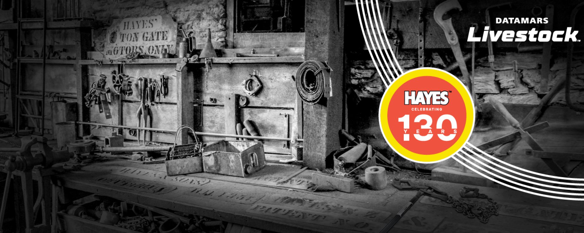 BANNER-WORKSHOP-HAYES-DESKTOP